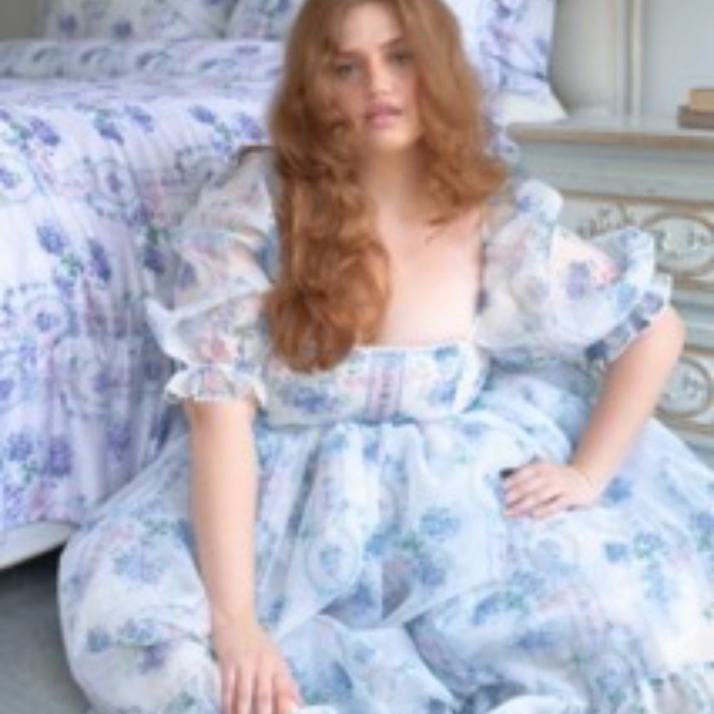 4X - La Belle Etoile Organza French Puff Dress